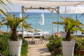 Terras