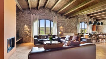 TV, fireplace, table tennis