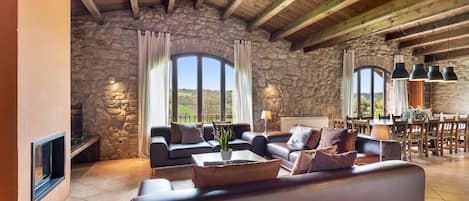 TV, fireplace, ping pong