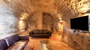 Tv, pejs, bordtennisbord