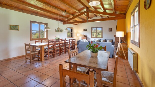 Un comedor amplio con mesas y sillas de madera, una mesa central con una planta en maceta, y una sala de estar acogedora con un sofá y una lámpara.