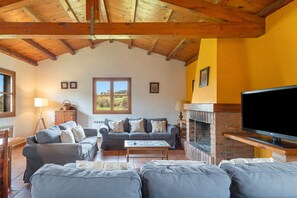TV, fireplace, ping pong