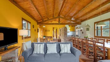 TV, fireplace, table tennis