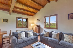 TV, fireplace, table tennis