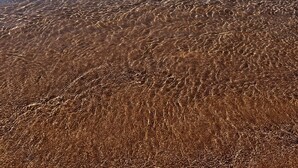 Duidelijk zicht op de kust met rotsachtig terrein en rustig water.