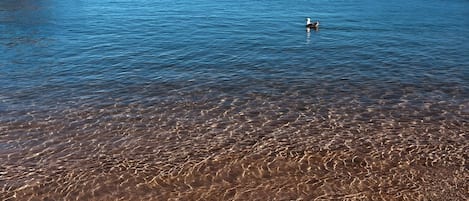 Nær stranden