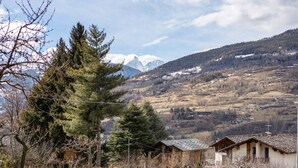 Paesaggio montano con una casa e un pino.