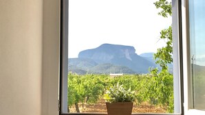 A window with a view of a mountain and a vineyard. - Holiday Home 'Son Pelai Menut' with Mountain View, Wi-Fi and Air Conditioning (Illes Balears)