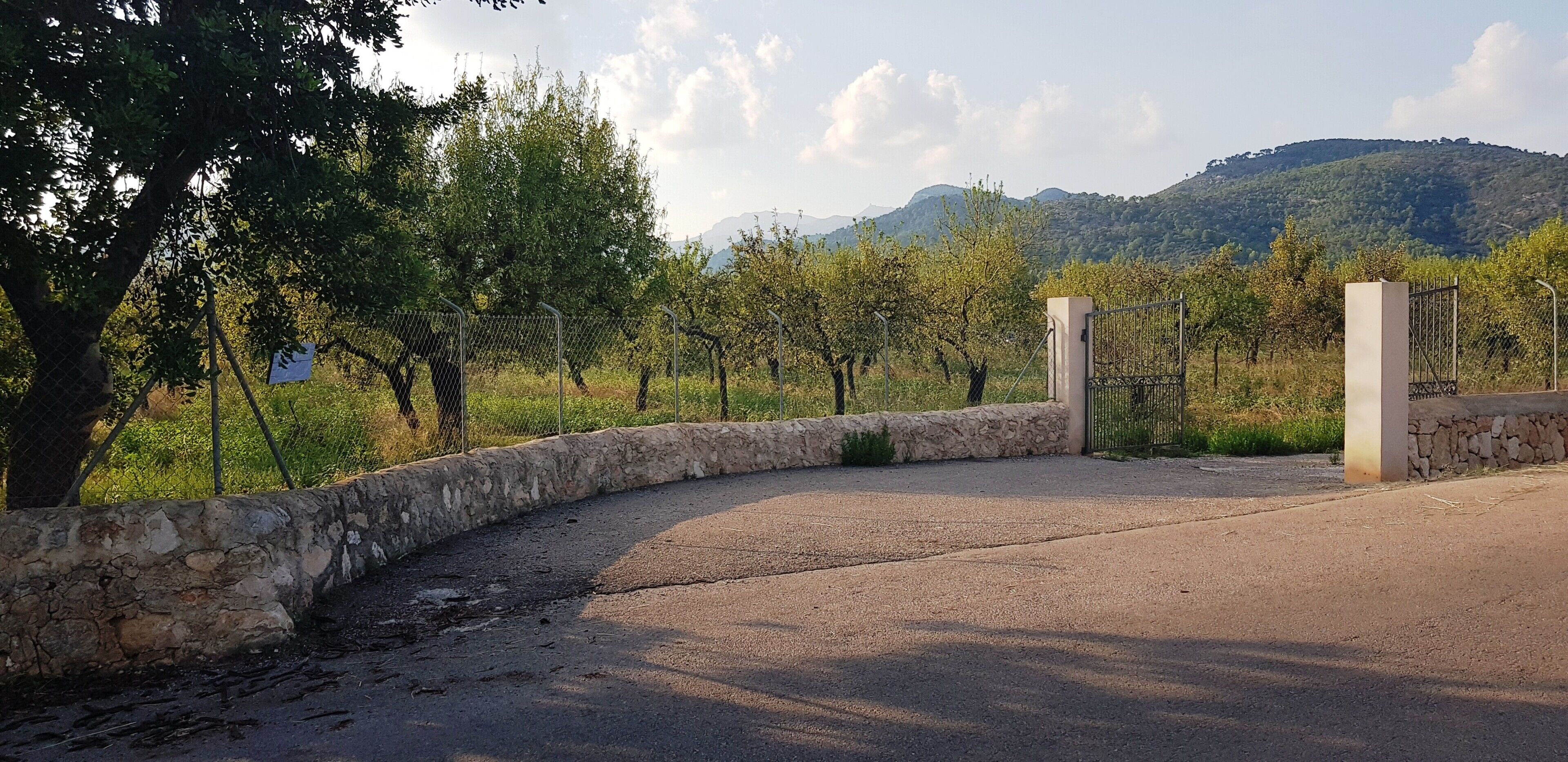 Una entrada empaveda con muro de piedra, puerta de metal y vistas a un viñedo con árboles y colinas al fondo.