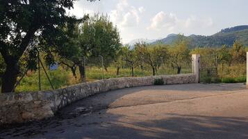 Una entrada empaveda con muro de piedra, puerta de metal y vistas a un viñedo con árboles y colinas al fondo.