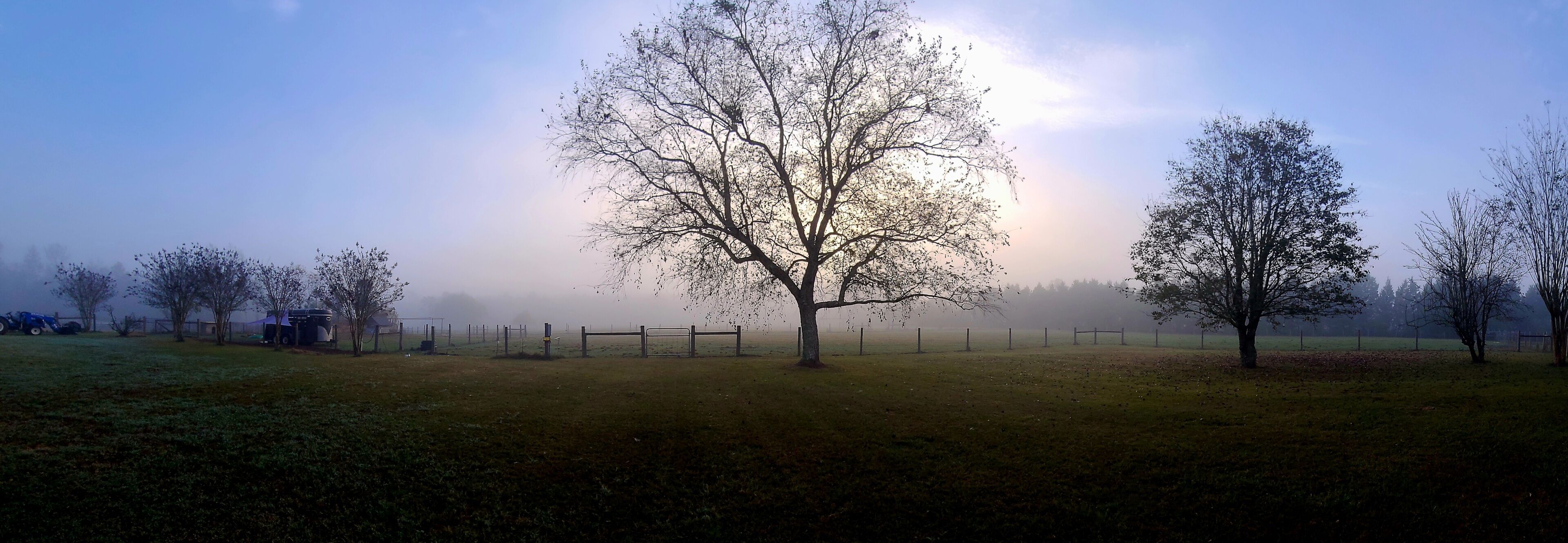 A foggy landscape with trees and a fence.