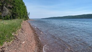 Una playa con un sendero de tierra que lleva al agua, rodeada de árboles verdes y frondosos.
