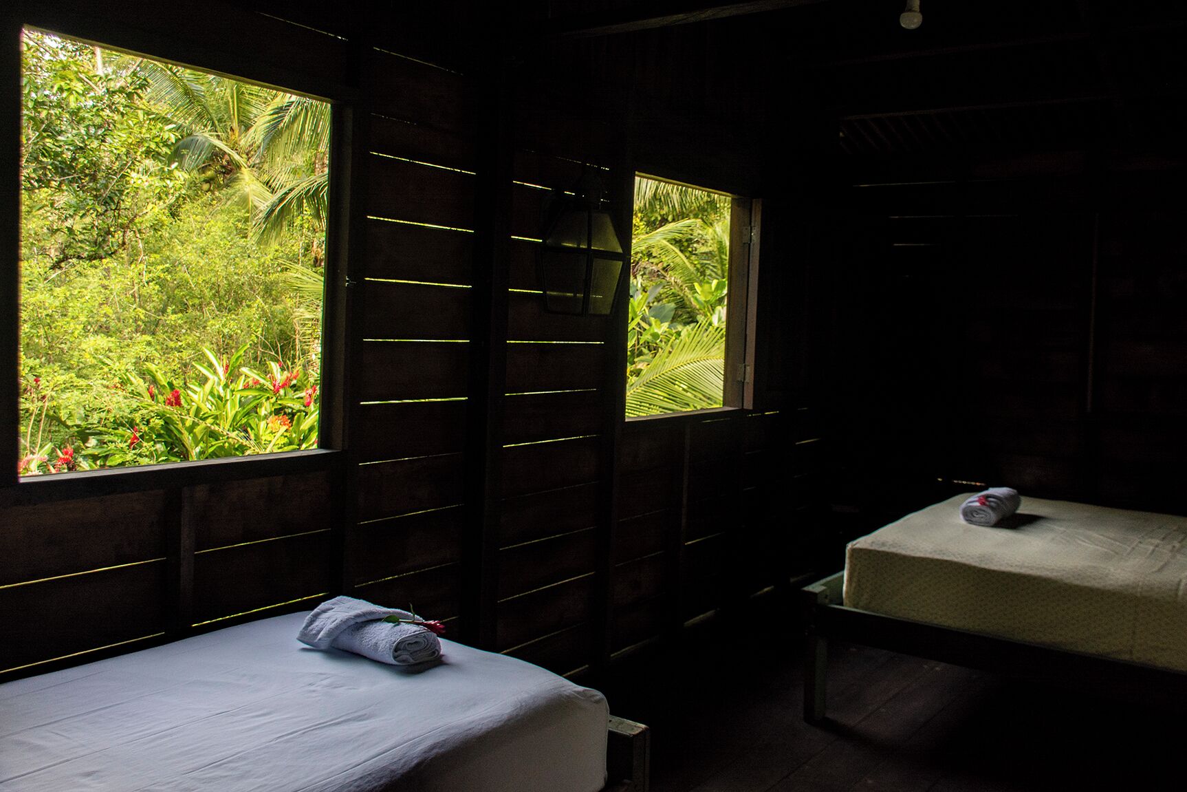 A small, dimly lit room with a single bed and a small table, large windows with a view of dense greenery outside.