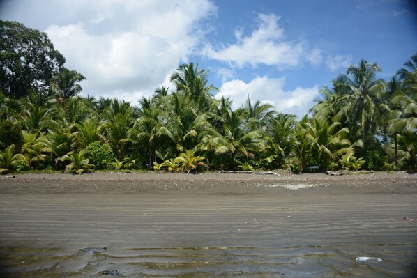 On the beach, black sand, 2 beach bars