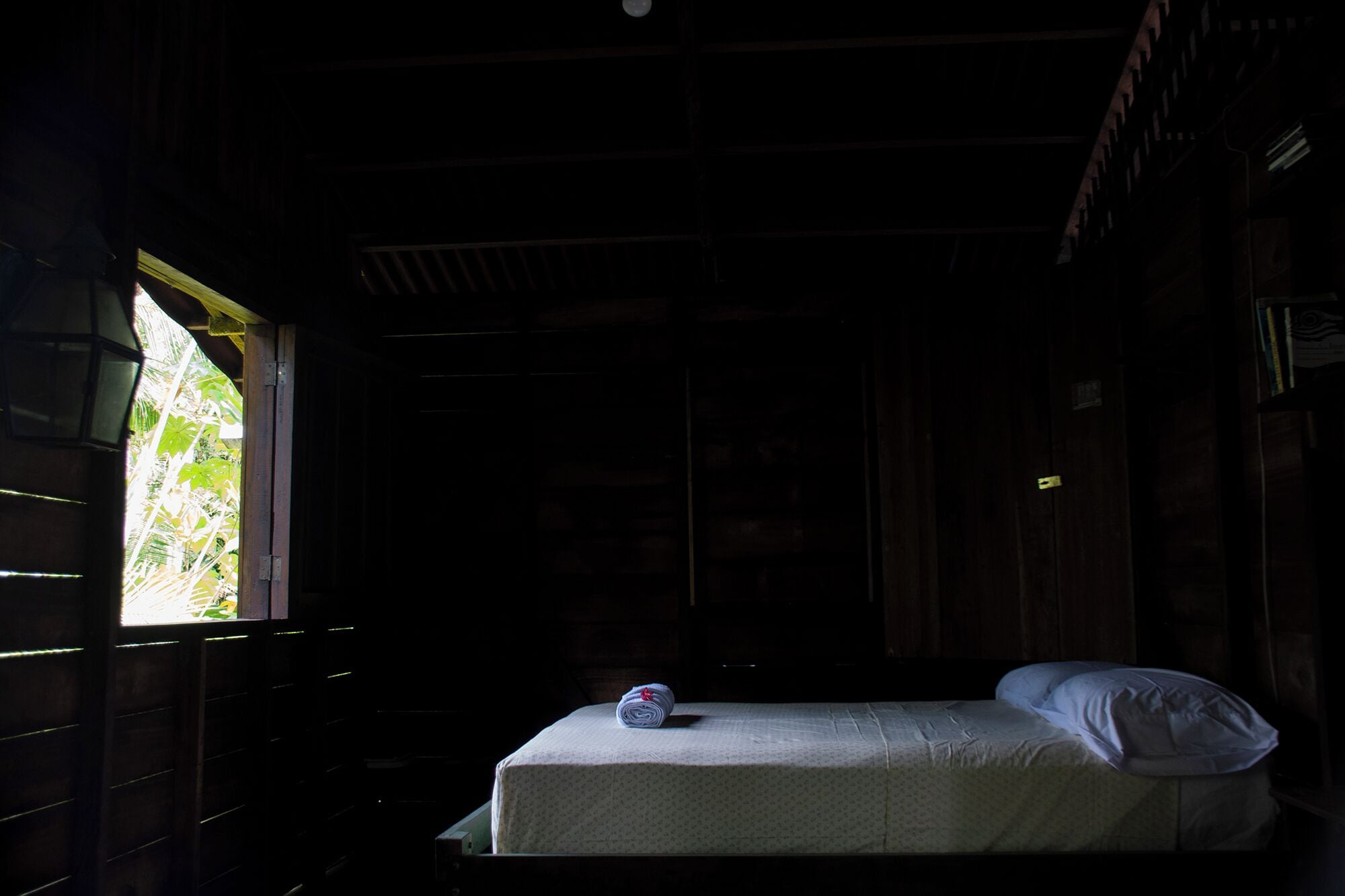 A dimly lit room with a single bed, a window with a view of greenery, and wooden walls.