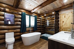 Shower, towels, toilet paper