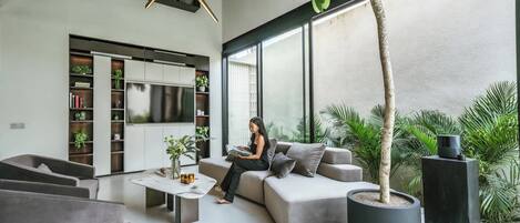A modern living room with a sofa, coffee table, and a large potted plant.