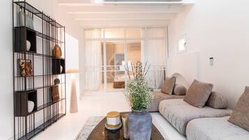 TV connectée, cheminée, livres, chaßne hi-fi