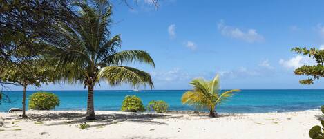 Playa en los alrededores