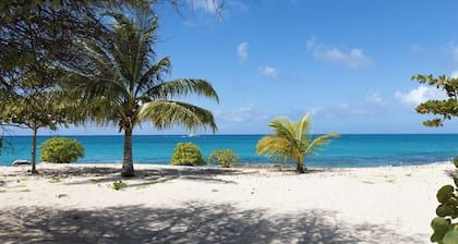 Blue Horizon Beach Bungalow