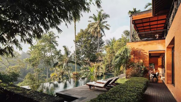 A modern outdoor pool area with lounge chairs, a wooden deck, and lush greenery.
