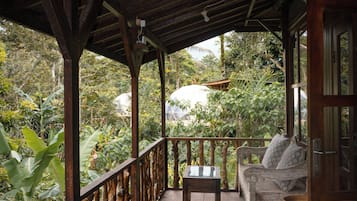 ๋๋ญ์ค ๋๋ธ๋ฃธ, ์ ์ ์ ๋ง | ๋ฌด๋ฃ WiFi