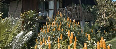 Una casa de madera rústica con balcón, rodeada de exuberante follaje y flores de naranja.
