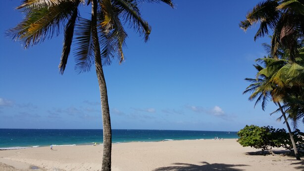 A beach with palm trees, clear blue sky, and calm sea. - Saldana Townhouse (San Juan)