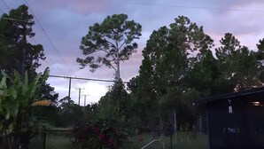 A rectangular swimming pool with a metal ladder, surrounded by trees and a grassy area. - Cozy RV in Palm Bay, FL with pool access! (Palm Bay)