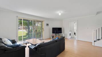 Smart TV, fireplace, DVD player, video library