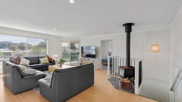 Smart TV, fireplace, DVD player, video library