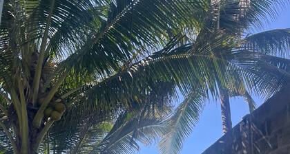 Deluxe 5bedroom resort 12 Q beds, accommodates 24 guests, located in El Tenis.