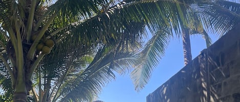 Beach nearby, sun-loungers, beach towels