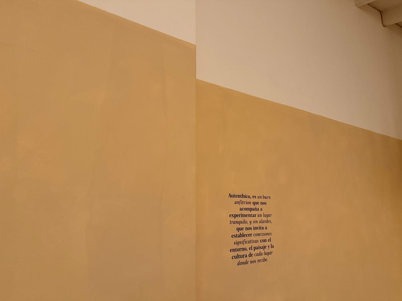A wall with a text message in Spanish.