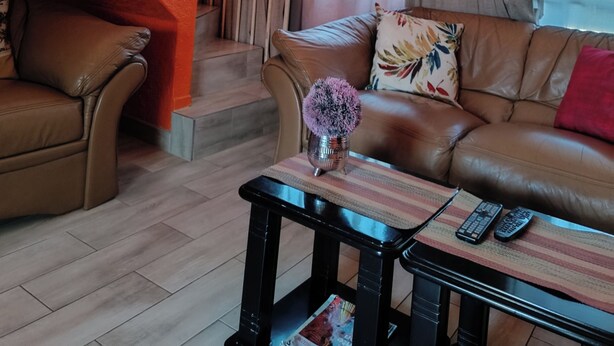 Un salon avec un canapé en cuir marron, une table basse et une petite table sur laquelle se trouvent un vase et des télécommandes.