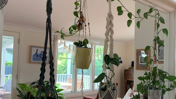 Una sala de estar acogedora con un ventanal grande, un sofá y varias plantas colgantes.