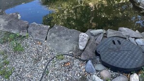 Ein kleiner Teich mit steinbesetztem Rand, umgeben von Steinen und Pflanzen.