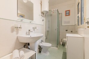 Shower, hair dryer, bidet, towels