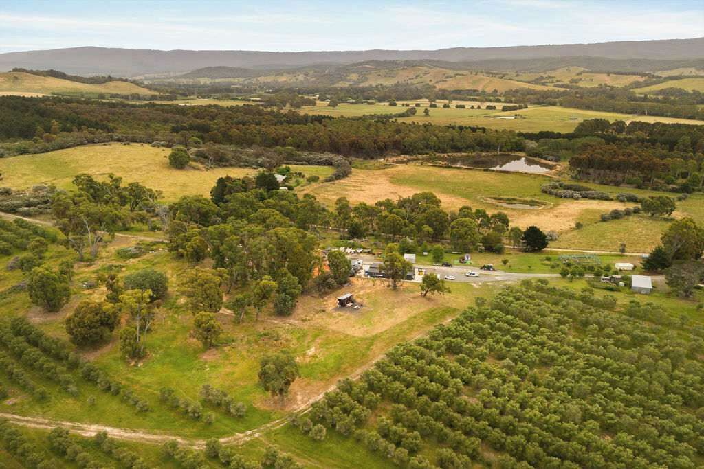 An aerial view of a rural landscape with rolling hills, scattered trees, and a small settlement with buildings and a road.