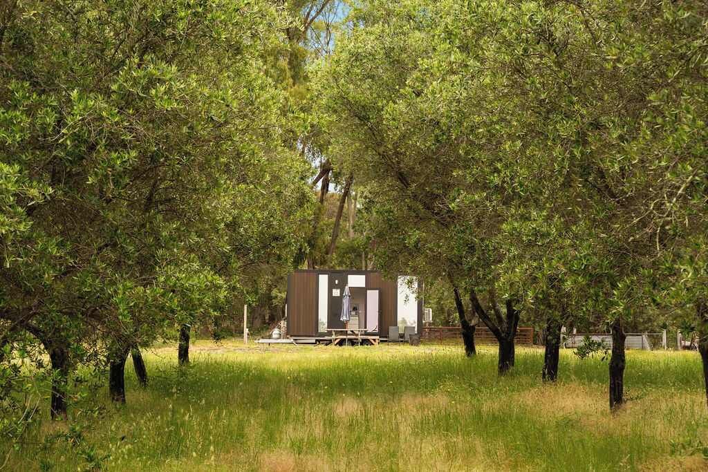 A small, modern cabin with a flat roof and a large window, surrounded by lush green trees.