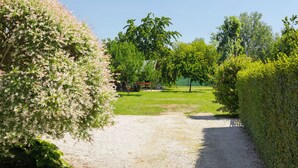 Un sentier de gravier traverse un parc où l’on trouve différentes espèces d’arbres et d’arbustes.