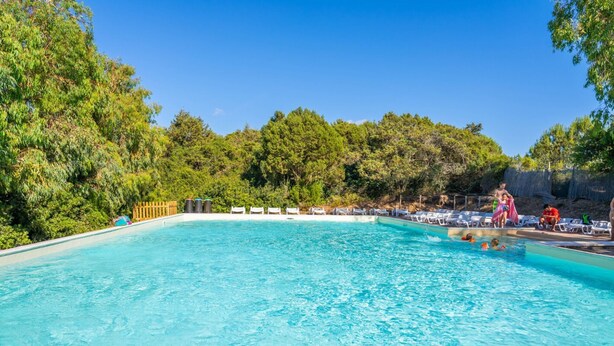 A clear blue pool surrounded by lush greenery, with lounge chairs and a wooden fence in the background.