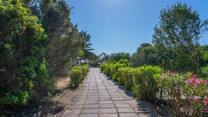 A paved pathway lined with greenery and flowers, leading to a building in the distance.