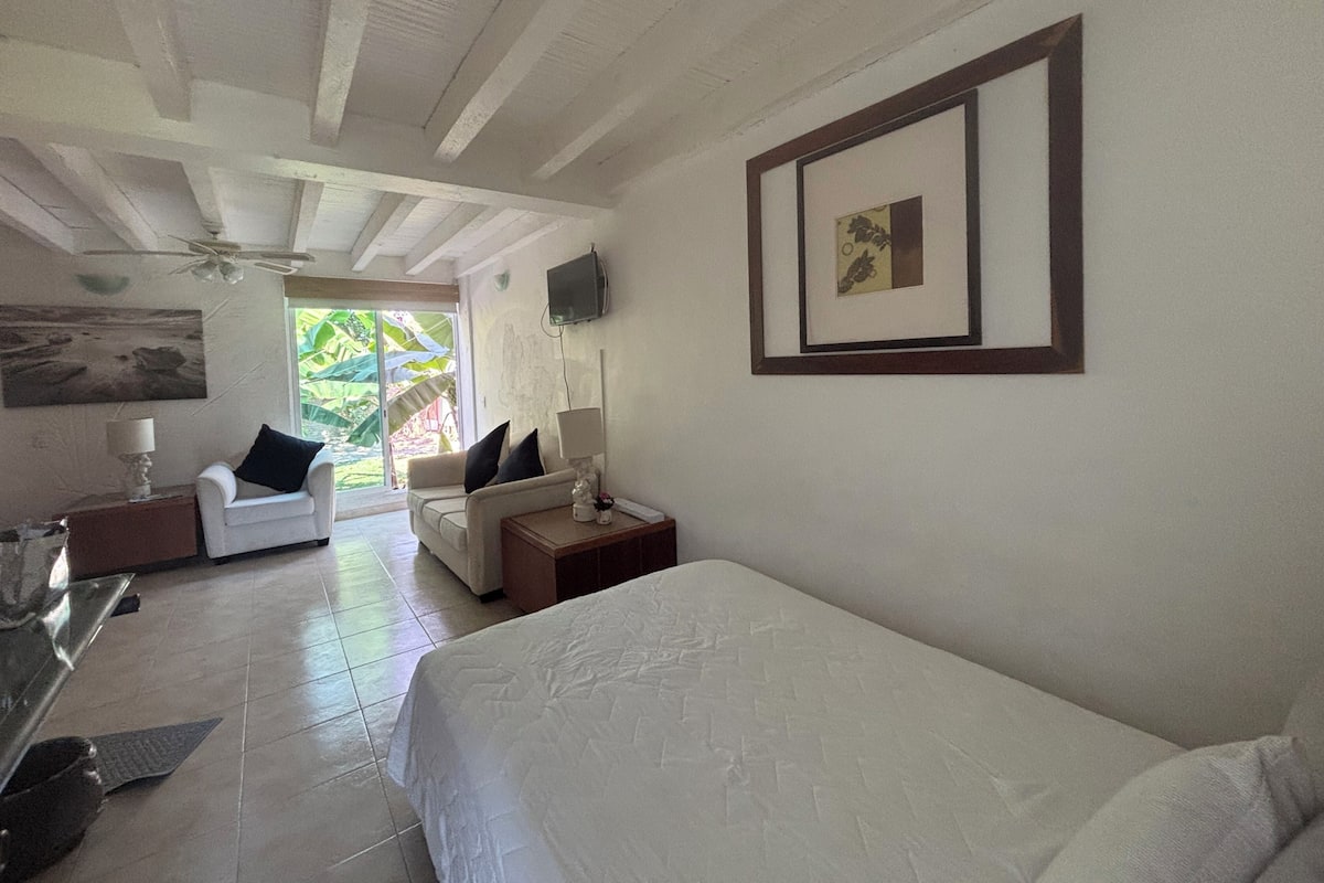 A hotel room with a bed, a sofa, a TV, and a window with a view of greenery.