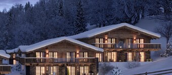 Luxury lodge with a private sauna near Flachau