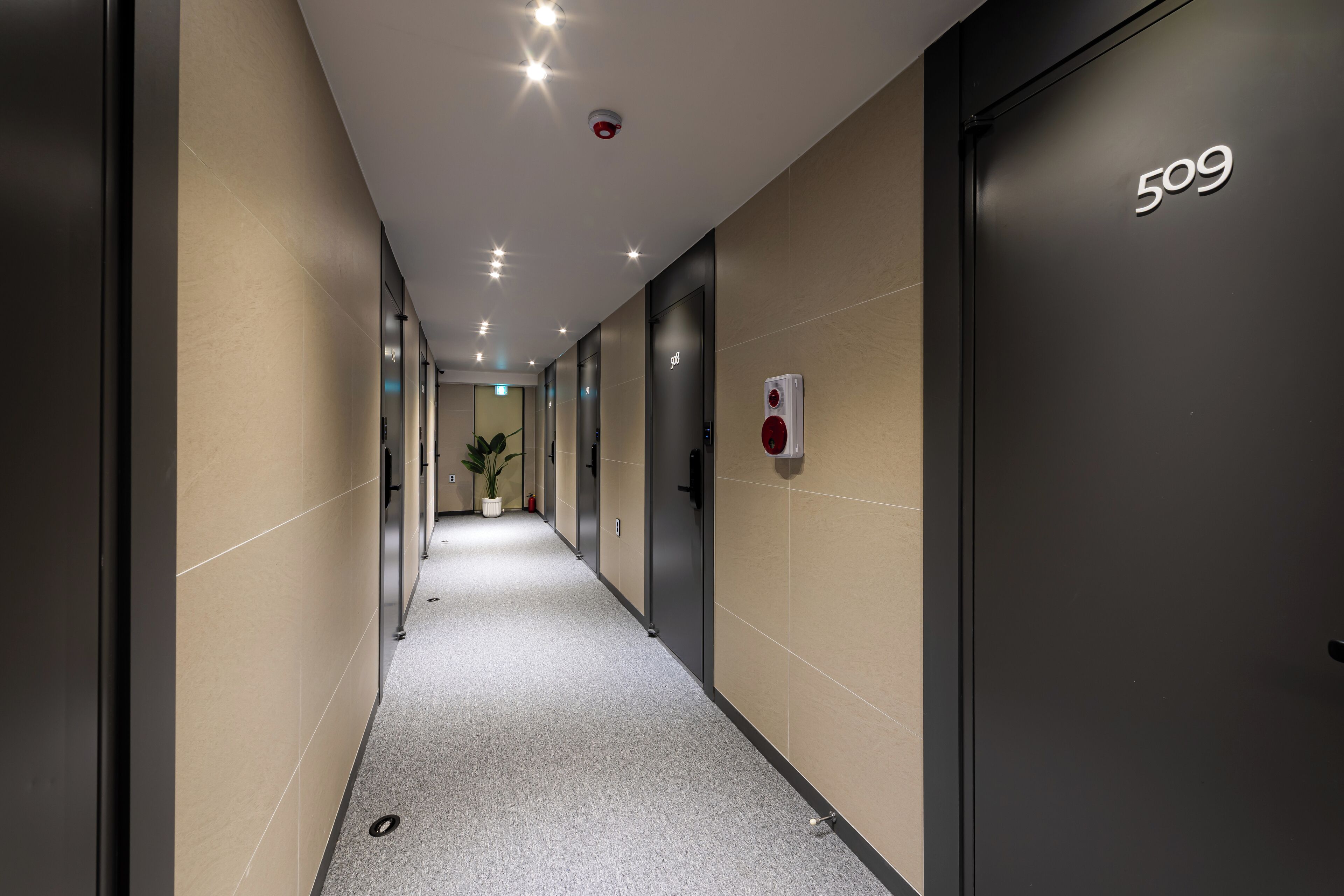 Foto - Stayz437 Jongno