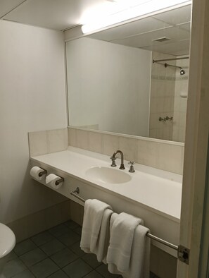 Free toiletries, soap, shampoo, toilet paper - Bayswater Motel (Tweed Heads)