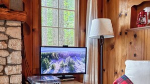 Acogedora habitación tipo cabaña con pared de piedra, muebles de madera, televisor, lámpara y una manta escocesa en una silla.