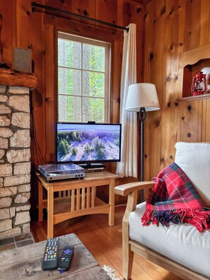 Smart TV, fireplace, books, music library