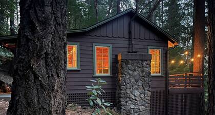 Cozy vintage cabin with fireplace near hot spring